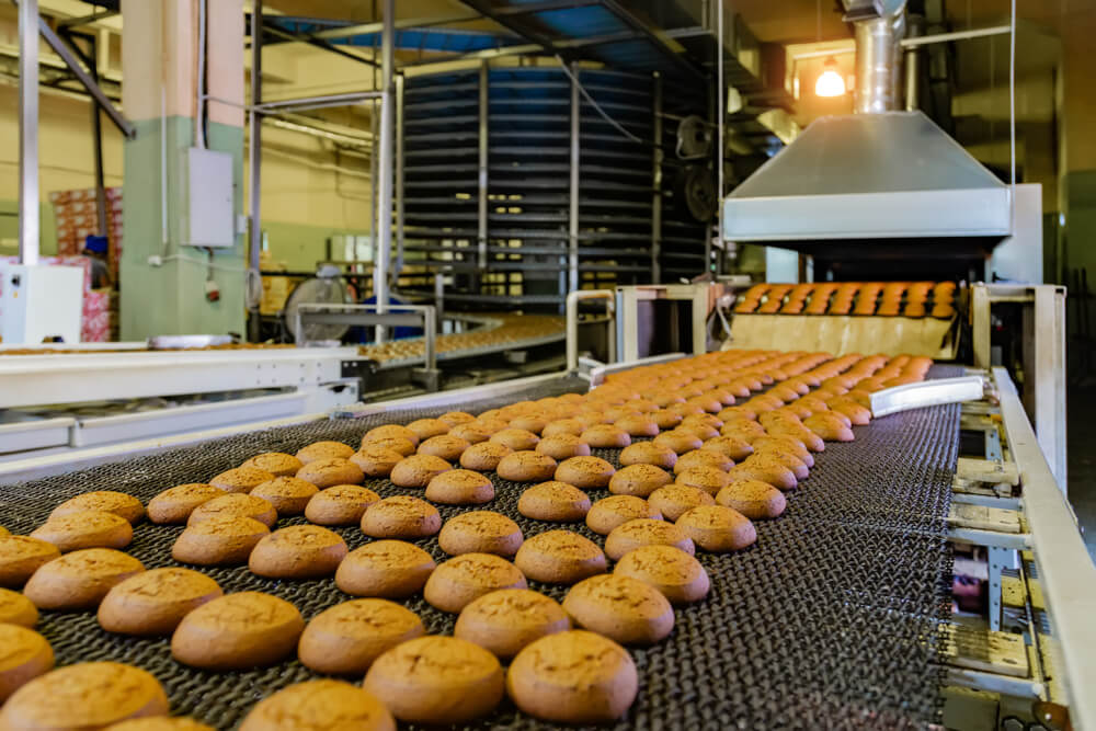 Food plant Food plant