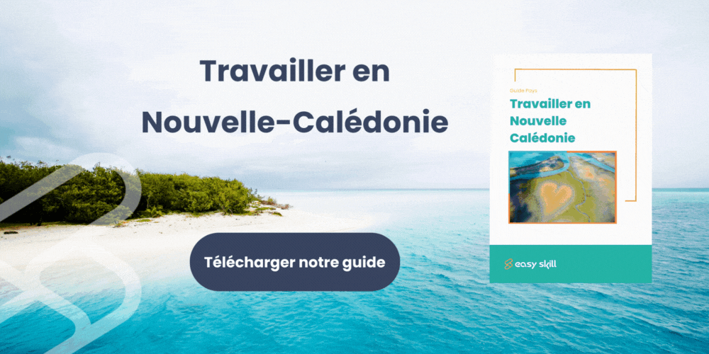 _GIF NC Candidat VF-2