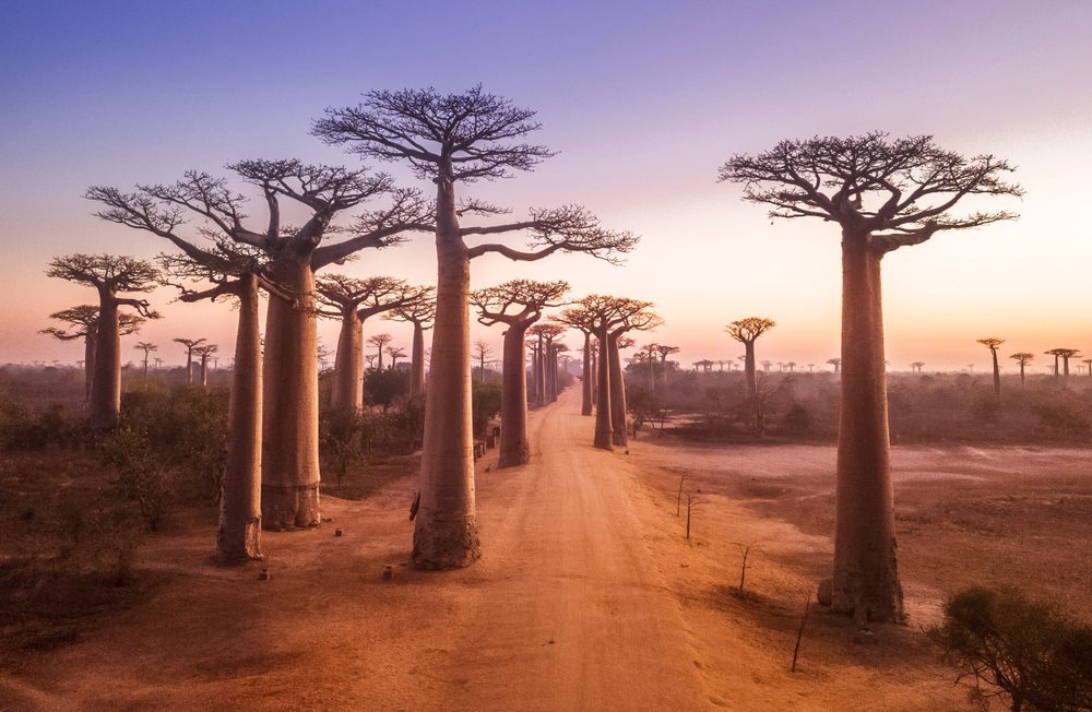 le tour de madagascar